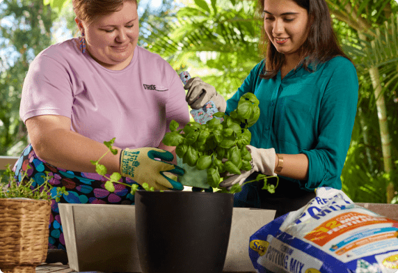 Two women potting a plant