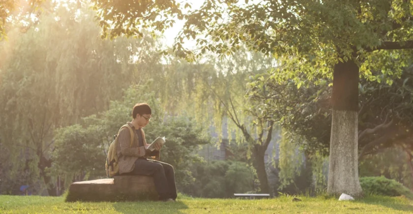 Young man sitting in the park reading